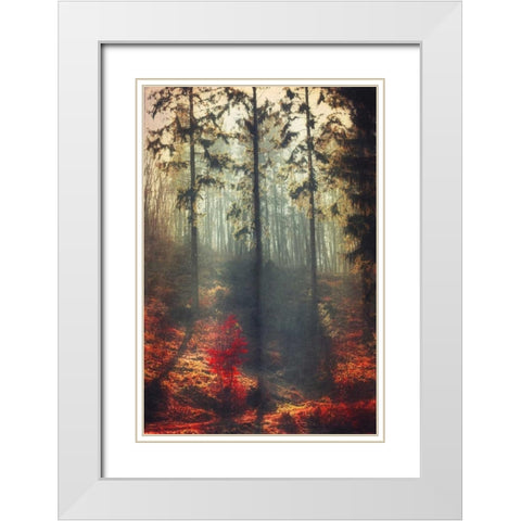 Weight of Light White Modern Wood Framed Art Print with Double Matting by Wuestenhagen, Dirk