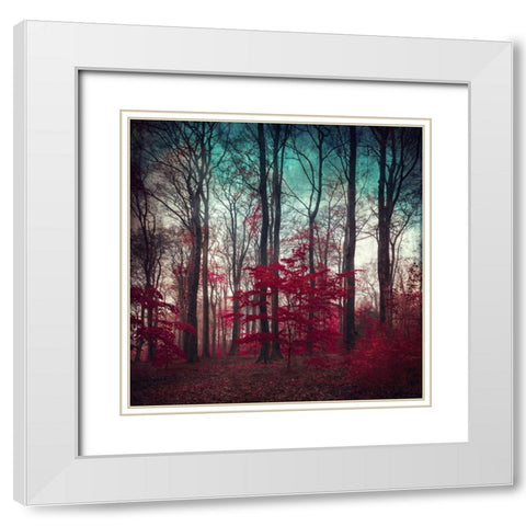 A Maze White Modern Wood Framed Art Print with Double Matting by Wuestenhagen, Dirk