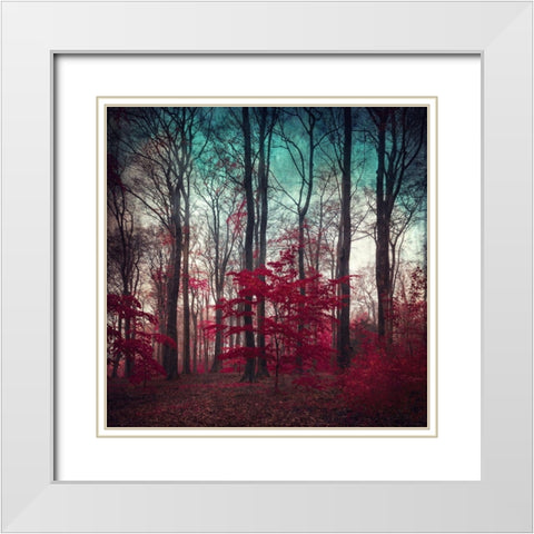 A Maze White Modern Wood Framed Art Print with Double Matting by Wuestenhagen, Dirk