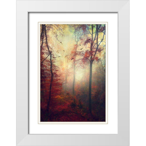 Haze White Modern Wood Framed Art Print with Double Matting by Wuestenhagen, Dirk