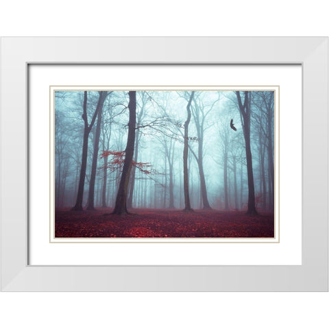 Solstice in Fog White Modern Wood Framed Art Print with Double Matting by Wuestenhagen, Dirk