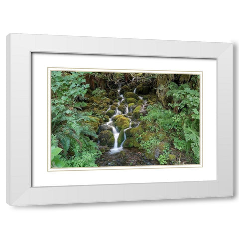 Fern Waterfall White Modern Wood Framed Art Print with Double Matting by White, Lynda