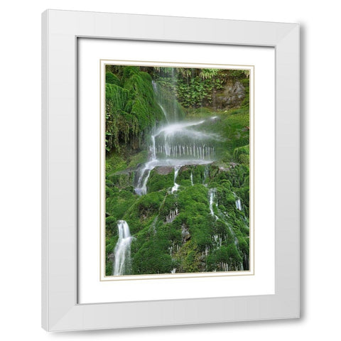 Moss Waterfall White Modern Wood Framed Art Print with Double Matting by White, Lynda