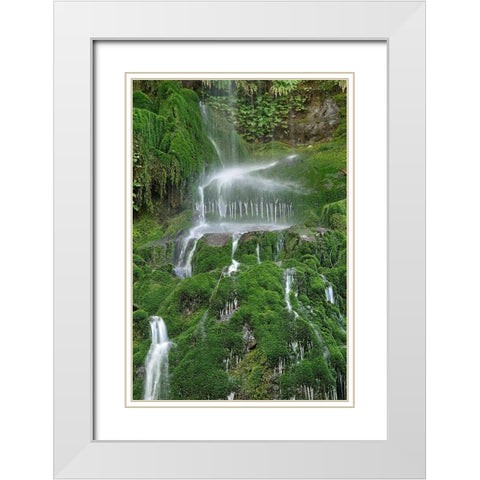 Moss Waterfall White Modern Wood Framed Art Print with Double Matting by White, Lynda