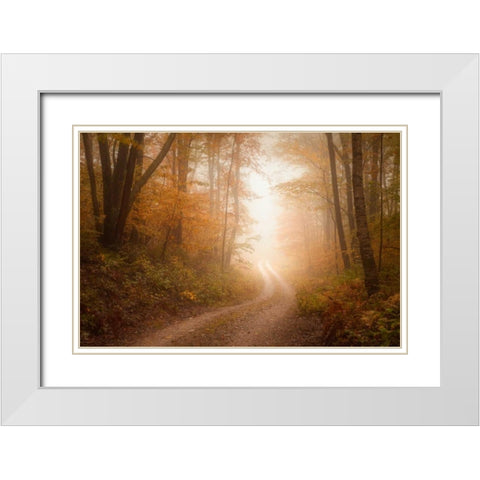 Familiar Dream White Modern Wood Framed Art Print with Double Matting by Zephyr, Patrick