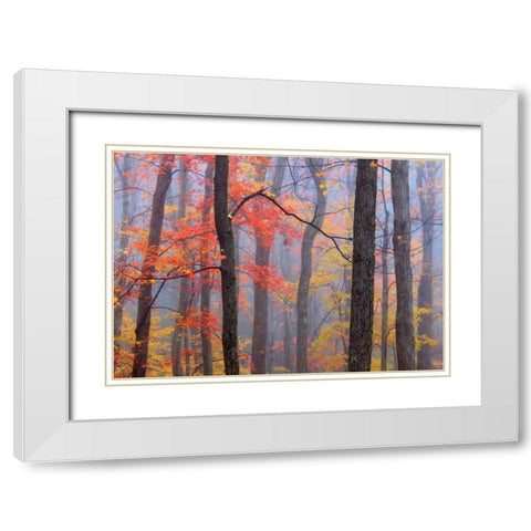 Fire in the Fog White Modern Wood Framed Art Print with Double Matting by Zephyr, Patrick