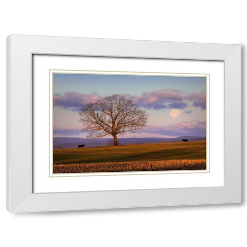 Meeting at Dawn White Modern Wood Framed Art Print with Double Matting by Zephyr, Patrick