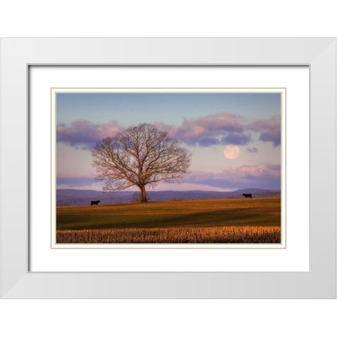 Meeting at Dawn White Modern Wood Framed Art Print with Double Matting by Zephyr, Patrick
