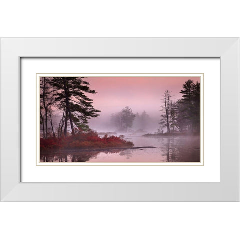 Pink Fog White Modern Wood Framed Art Print with Double Matting by Zephyr, Patrick
