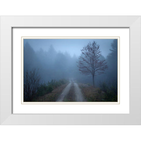 Spring Fog White Modern Wood Framed Art Print with Double Matting by Zephyr, Patrick