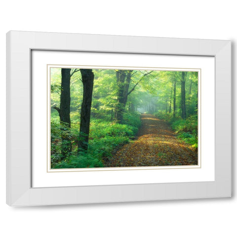 First Light White Modern Wood Framed Art Print with Double Matting by Zephyr, Patrick