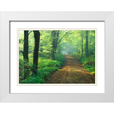 First Light White Modern Wood Framed Art Print with Double Matting by Zephyr, Patrick