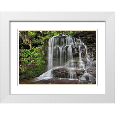 Gunn Brooks Falls White Modern Wood Framed Art Print with Double Matting by Zephyr, Patrick