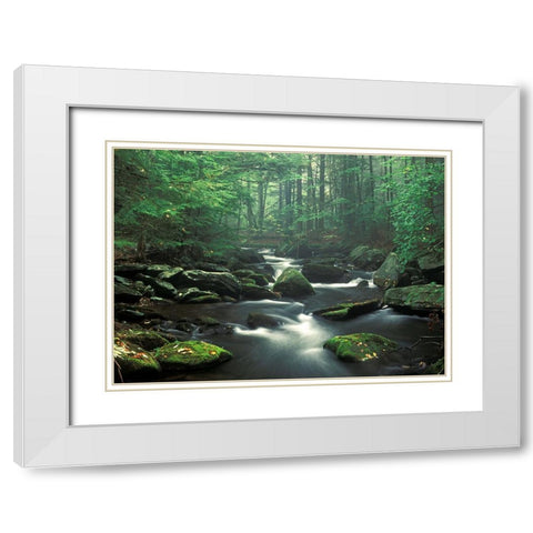 Sawmill River White Modern Wood Framed Art Print with Double Matting by Zephyr, Patrick