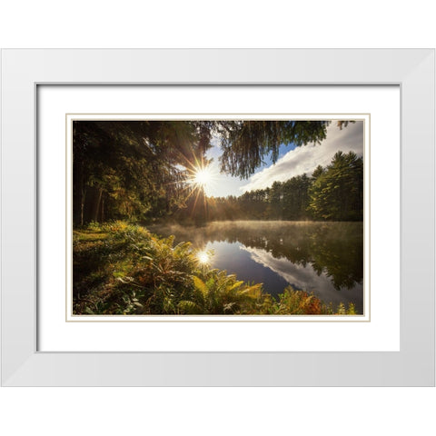 Sunstars White Modern Wood Framed Art Print with Double Matting by Zephyr, Patrick