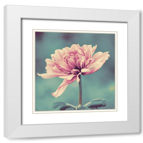 Gorgeous Pink White Modern Wood Framed Art Print with Double Matting by Peck, Gail