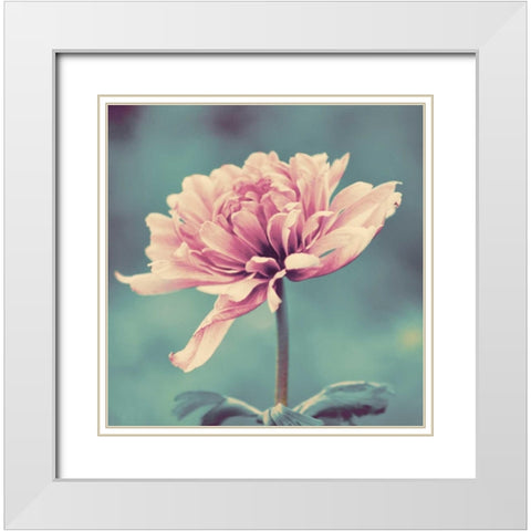 Gorgeous Pink White Modern Wood Framed Art Print with Double Matting by Peck, Gail