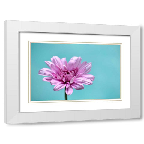 Surrounded in Blue White Modern Wood Framed Art Print with Double Matting by Peck, Gail