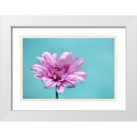 Surrounded in Blue White Modern Wood Framed Art Print with Double Matting by Peck, Gail