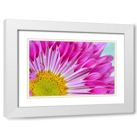Fuschia Bloom White Modern Wood Framed Art Print with Double Matting by Peck, Gail