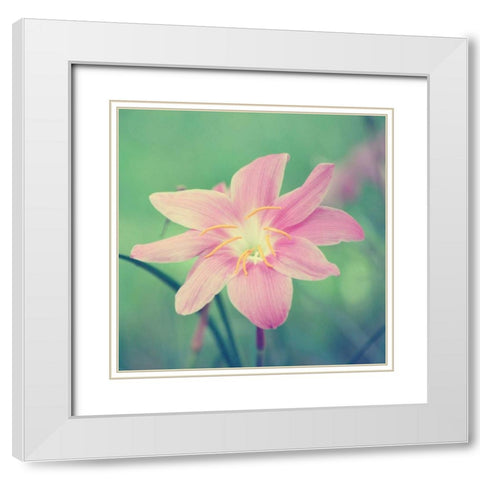 Alone in the Field White Modern Wood Framed Art Print with Double Matting by Peck, Gail