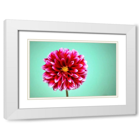 Zenia White Modern Wood Framed Art Print with Double Matting by Peck, Gail