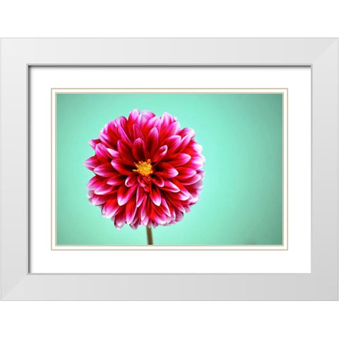 Zenia White Modern Wood Framed Art Print with Double Matting by Peck, Gail