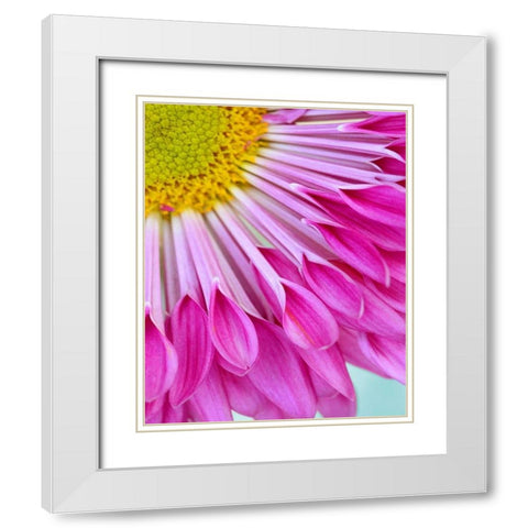 Fuschia Bloom White Modern Wood Framed Art Print with Double Matting by Peck, Gail