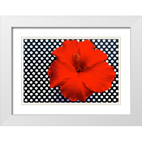 Red Hibiscus White Modern Wood Framed Art Print with Double Matting by Peck, Gail