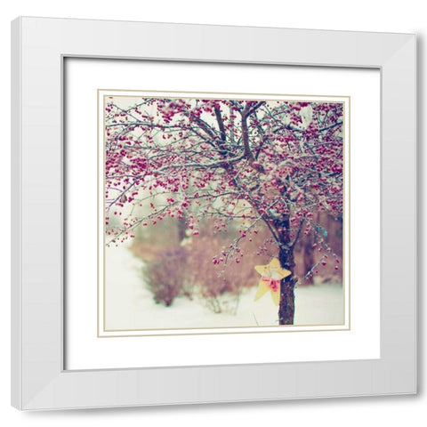 Winter Berries II White Modern Wood Framed Art Print with Double Matting by Poynter, Kelly