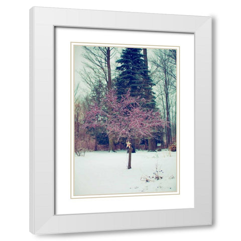 Winter Berries III White Modern Wood Framed Art Print with Double Matting by Poynter, Kelly