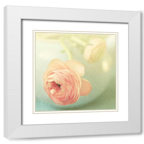 Vintage Peony II White Modern Wood Framed Art Print with Double Matting by Gardner, Sarah