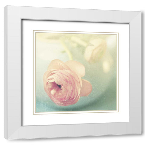 Vintage Pink Peony II White Modern Wood Framed Art Print with Double Matting by Gardner, Sarah