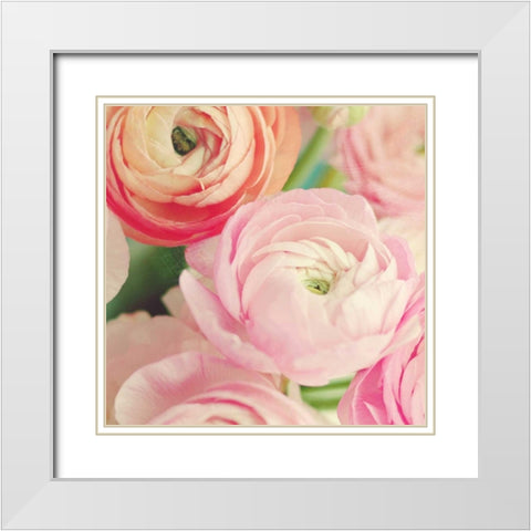 Blushing Blossoms Square II White Modern Wood Framed Art Print with Double Matting by Gardner, Sarah