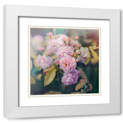 Season of Blossoms White Modern Wood Framed Art Print with Double Matting by Gardner, Sarah