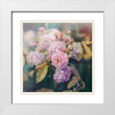 Season of Blossoms White Modern Wood Framed Art Print with Double Matting by Gardner, Sarah