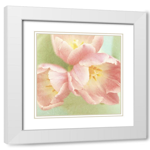 Resplendent Pink Blossoms Square White Modern Wood Framed Art Print with Double Matting by Gardner, Sarah