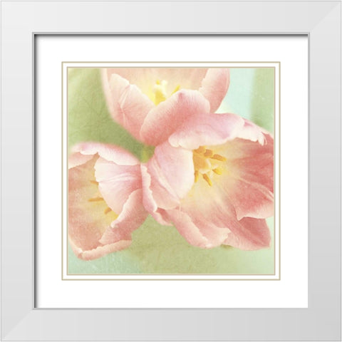 Resplendent Pink Blossoms Square White Modern Wood Framed Art Print with Double Matting by Gardner, Sarah