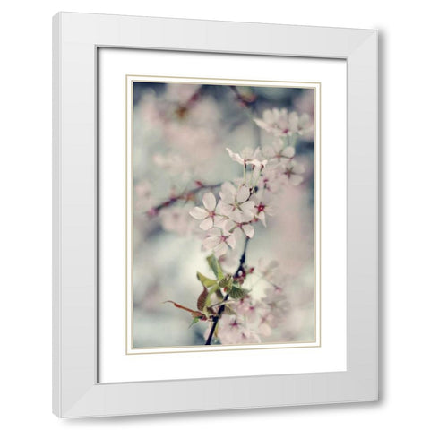 A Branch of Beauty Vertical White Modern Wood Framed Art Print with Double Matting by Gardner, Sarah