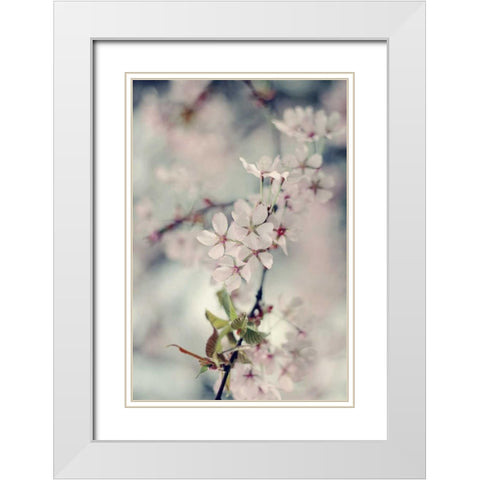 A Branch of Beauty Vertical White Modern Wood Framed Art Print with Double Matting by Gardner, Sarah