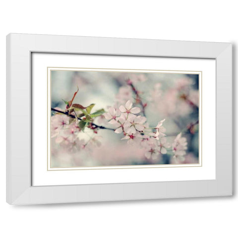 A Branch of Beauty White Modern Wood Framed Art Print with Double Matting by Gardner, Sarah