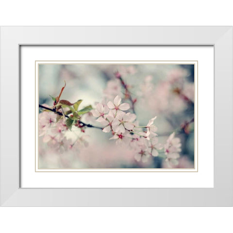 A Branch of Beauty White Modern Wood Framed Art Print with Double Matting by Gardner, Sarah
