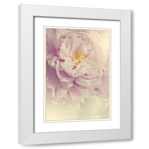 Angelic Petals White Modern Wood Framed Art Print with Double Matting by Gardner, Sarah