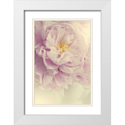 Angelic Petals White Modern Wood Framed Art Print with Double Matting by Gardner, Sarah