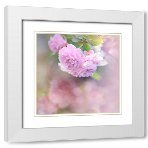 Graceful Floral White Modern Wood Framed Art Print with Double Matting by Gardner, Sarah