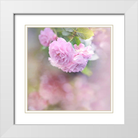 Graceful Floral White Modern Wood Framed Art Print with Double Matting by Gardner, Sarah