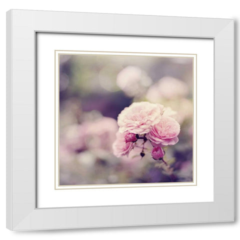 In the Garden White Modern Wood Framed Art Print with Double Matting by Gardner, Sarah