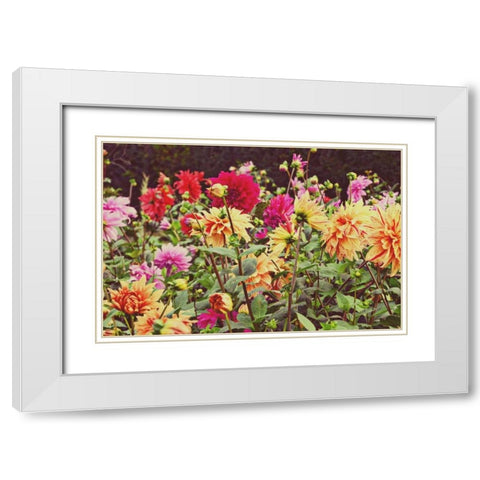New Garden White Modern Wood Framed Art Print with Double Matting by Peck, Gail