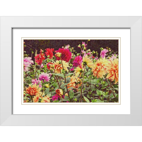 New Garden White Modern Wood Framed Art Print with Double Matting by Peck, Gail