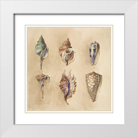 Seashells I White Modern Wood Framed Art Print with Double Matting by Loreth, Lanie